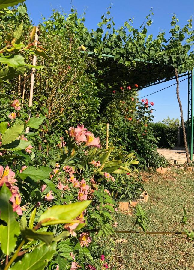 Appartamento Da Vjeri PUY Exterior foto