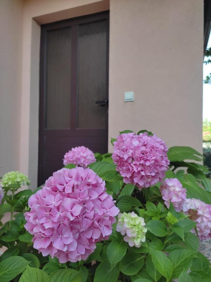 Appartamento Da Vjeri PUY Exterior foto