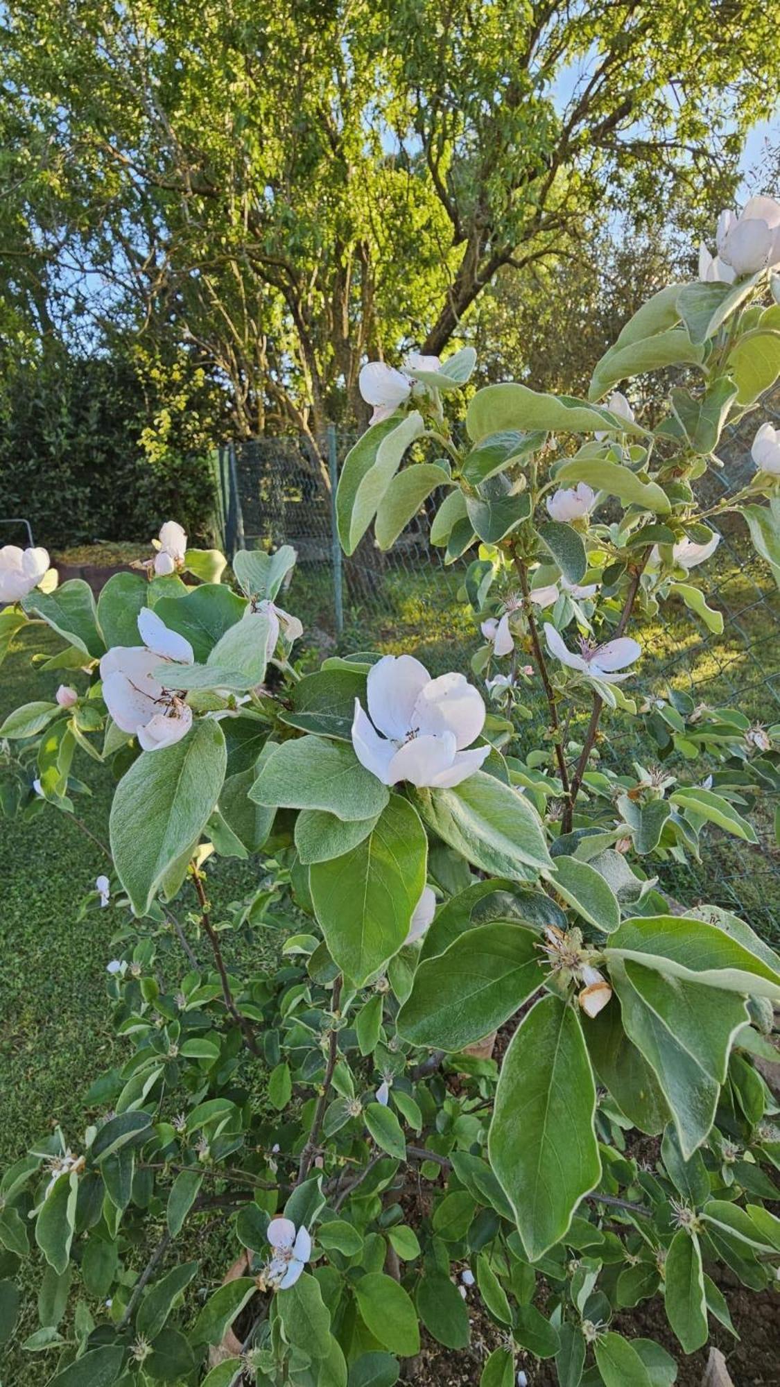 Appartamento Da Vjeri PUY Exterior foto
